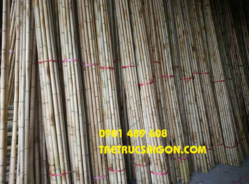 cửa hàng bán tre trúc tphcm