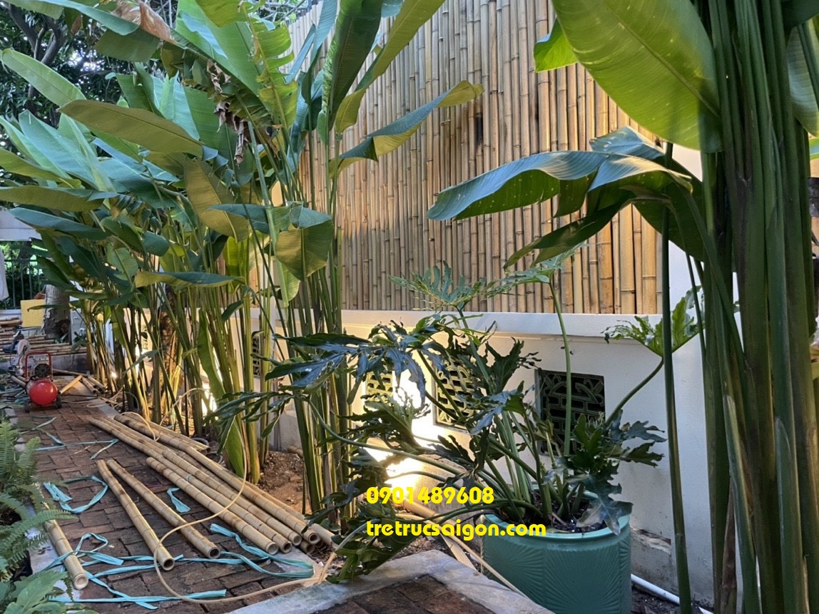 hình ảnh thi công tre bình chánh 6