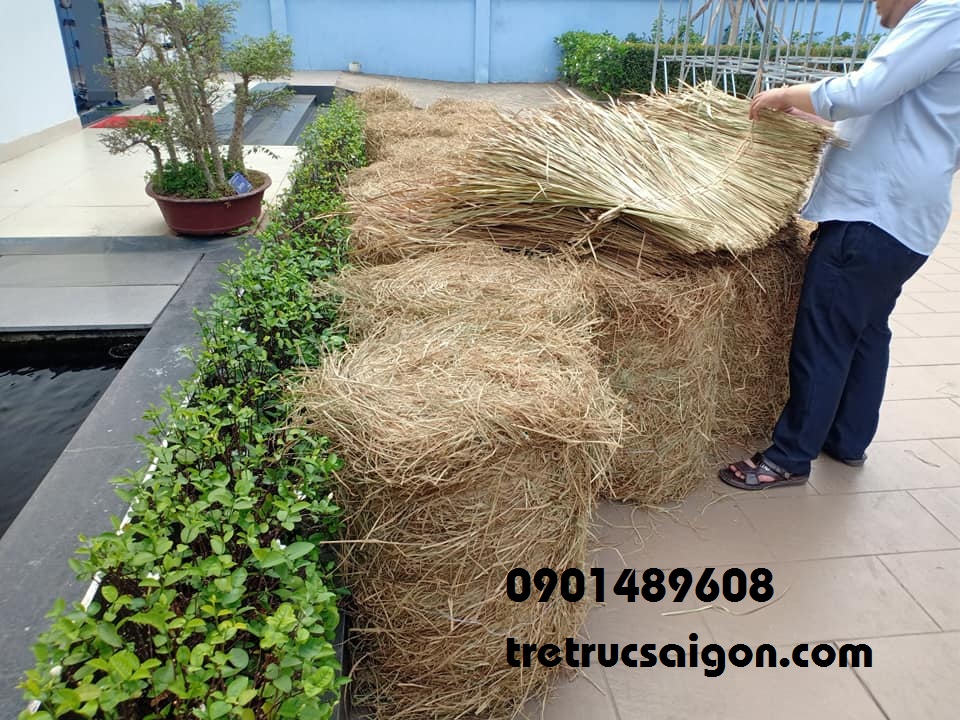 rơm cuộn tphcm 4