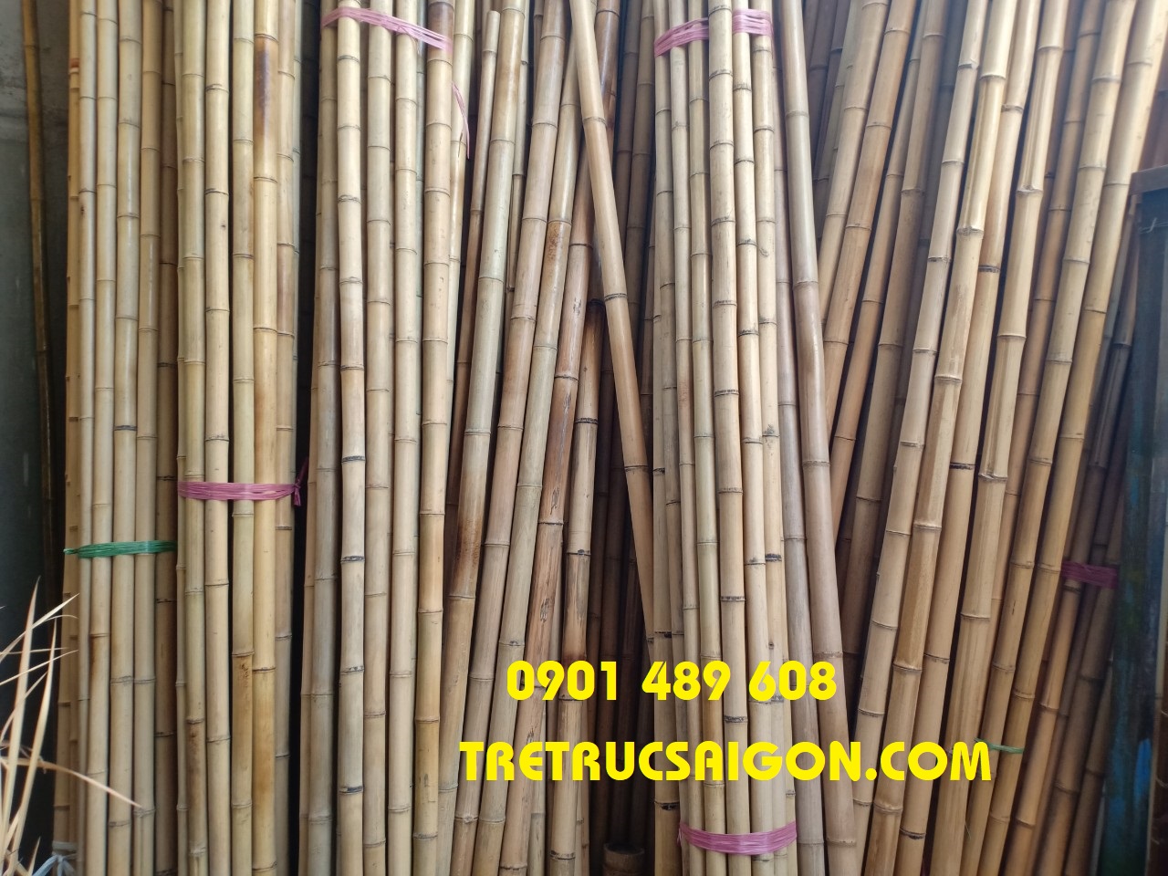 địa chỉ mua tre trúc quận 12 