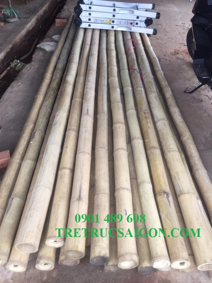 Nguyên liệu tre hcm 10
