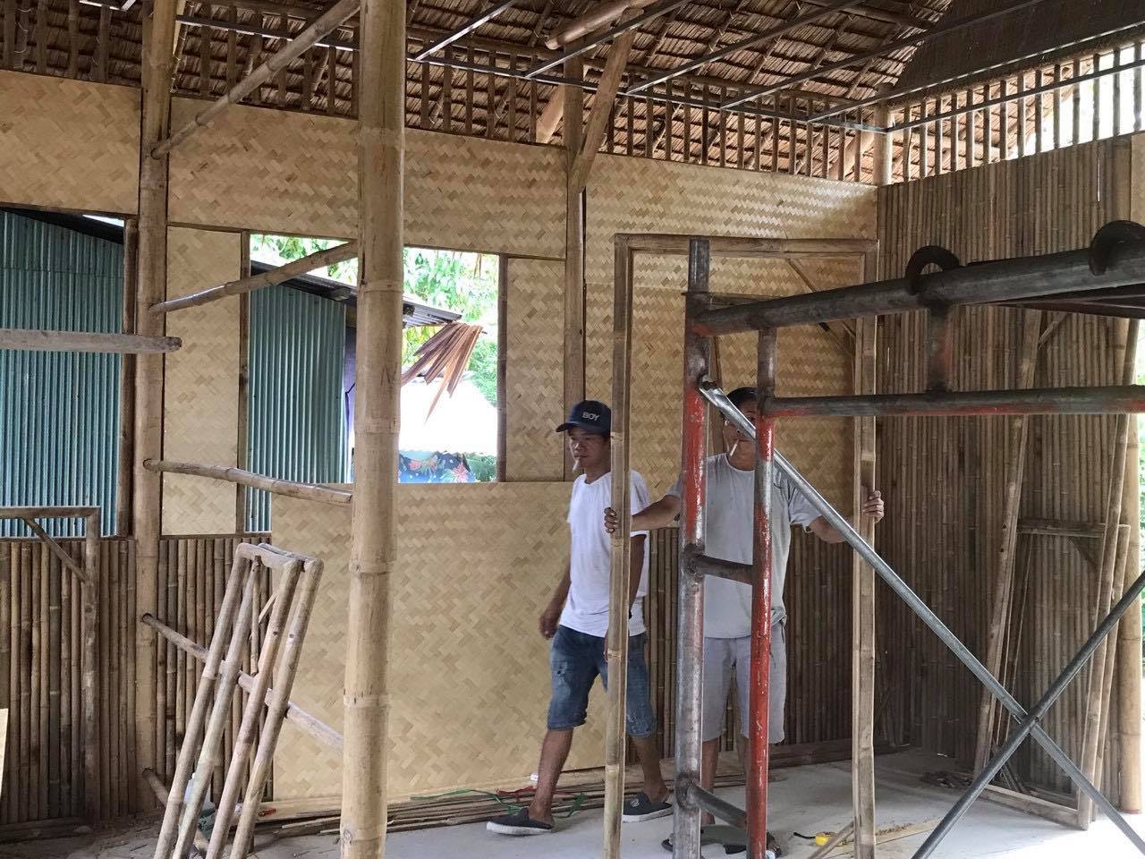cây luồng to