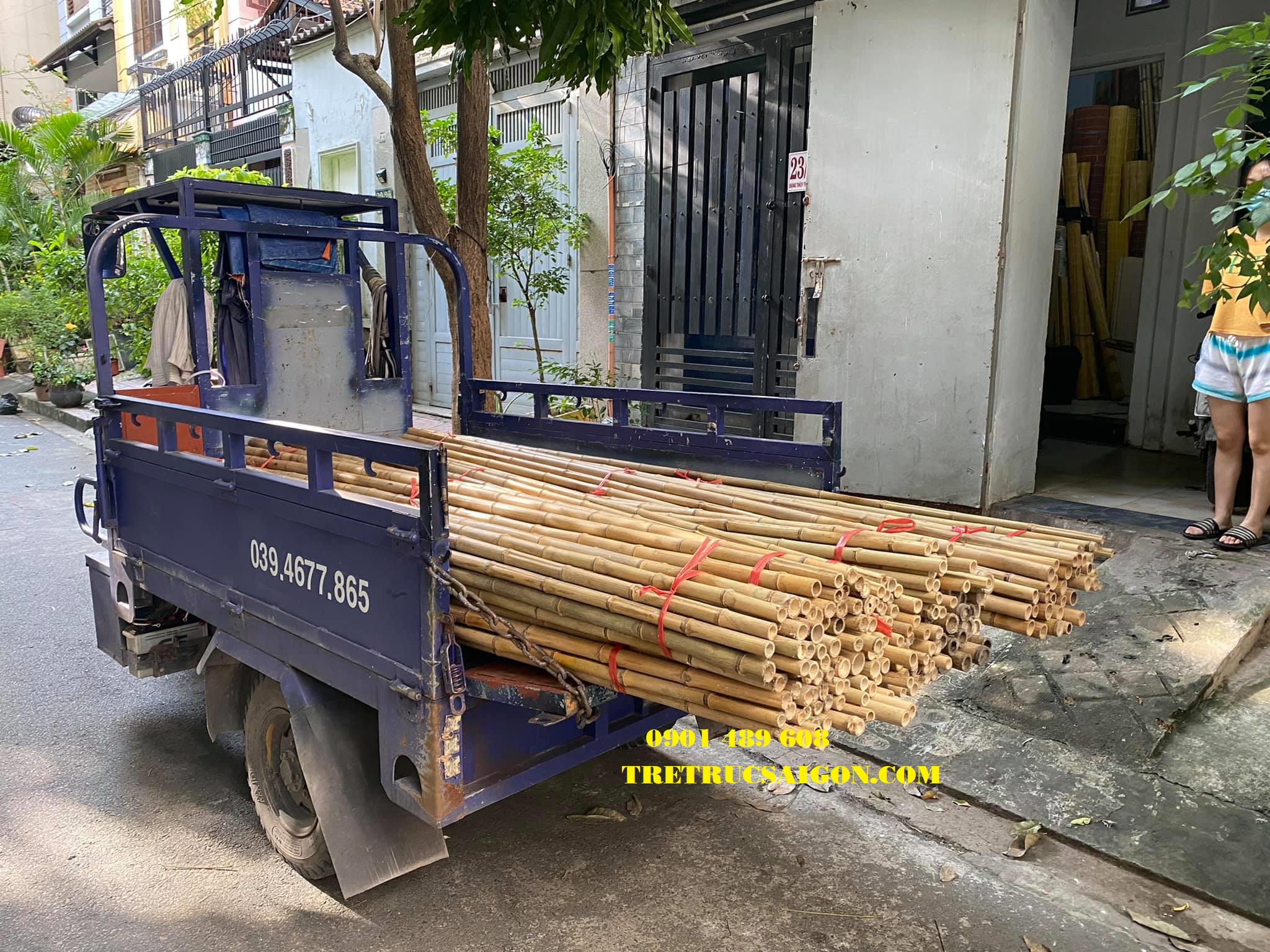 mua cây trúc khô trang trí nhà cửa