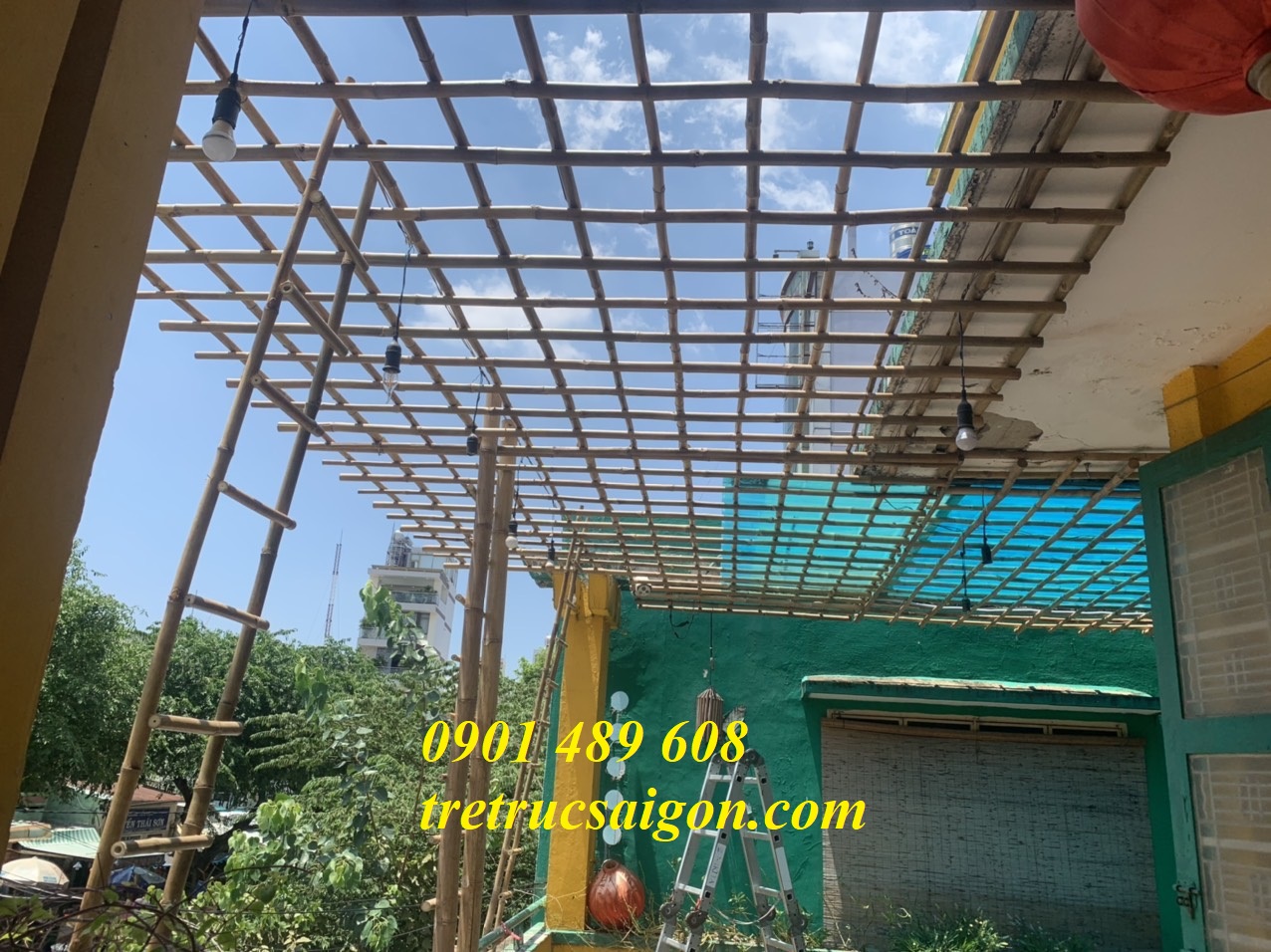 cây tre lam giàn cho khách
