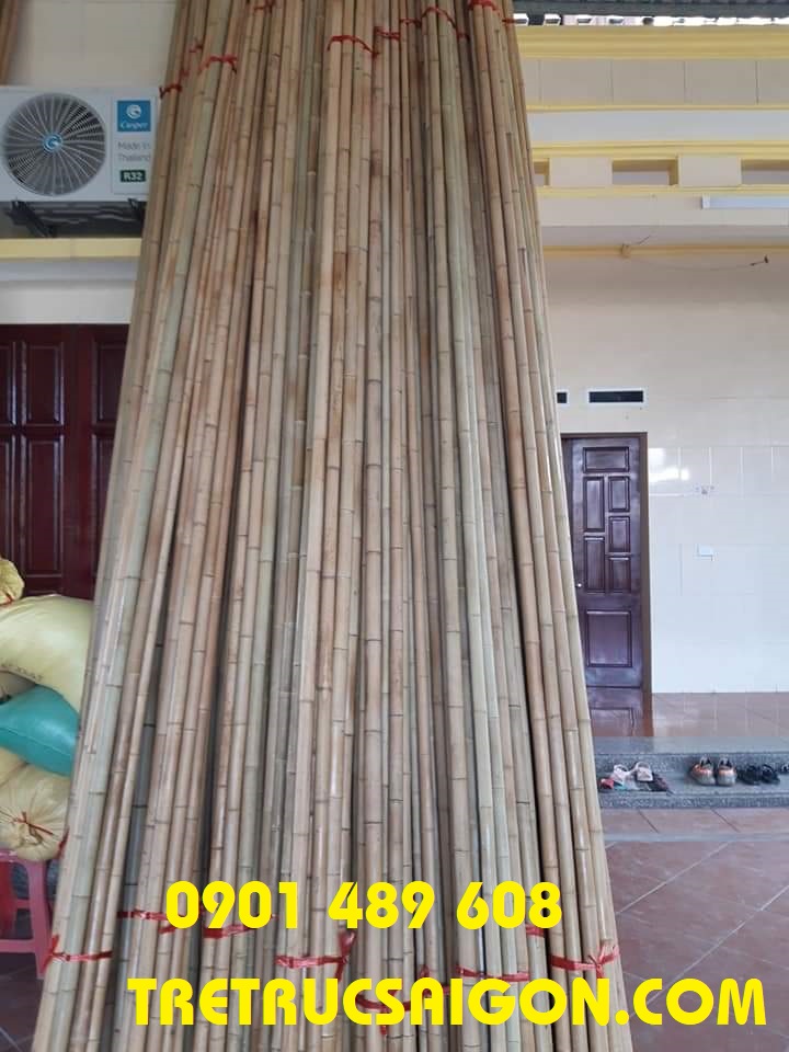 cay-truc-op-tuong 1