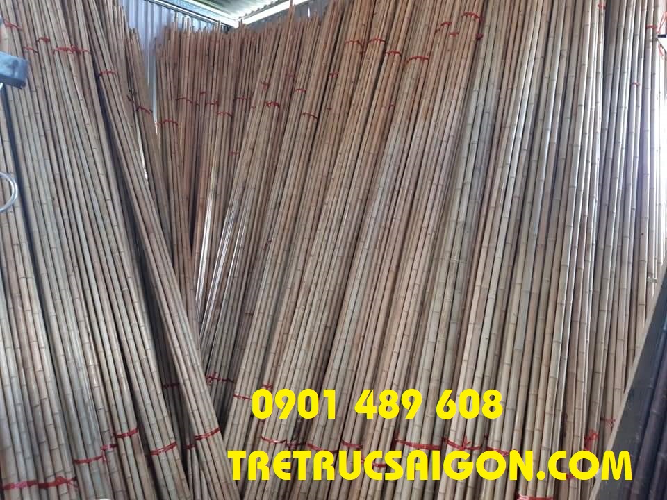 cay-truc-op-tuong 