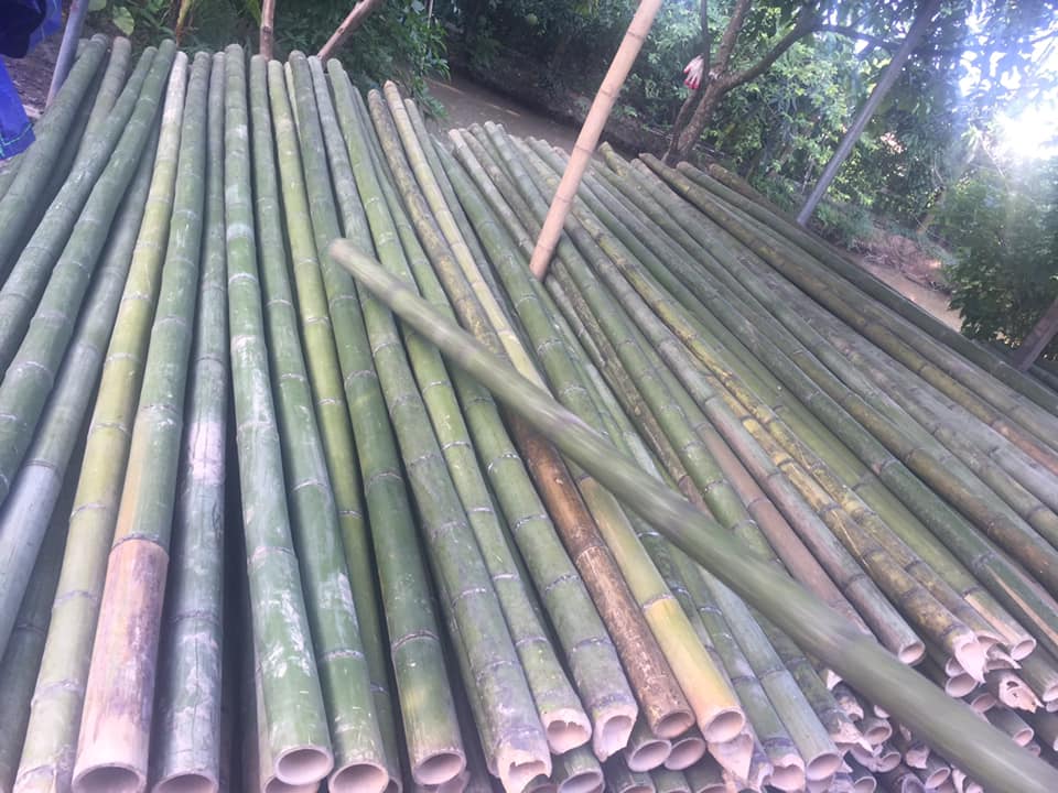 hinh-anh-tre-truc-sai-gon 10