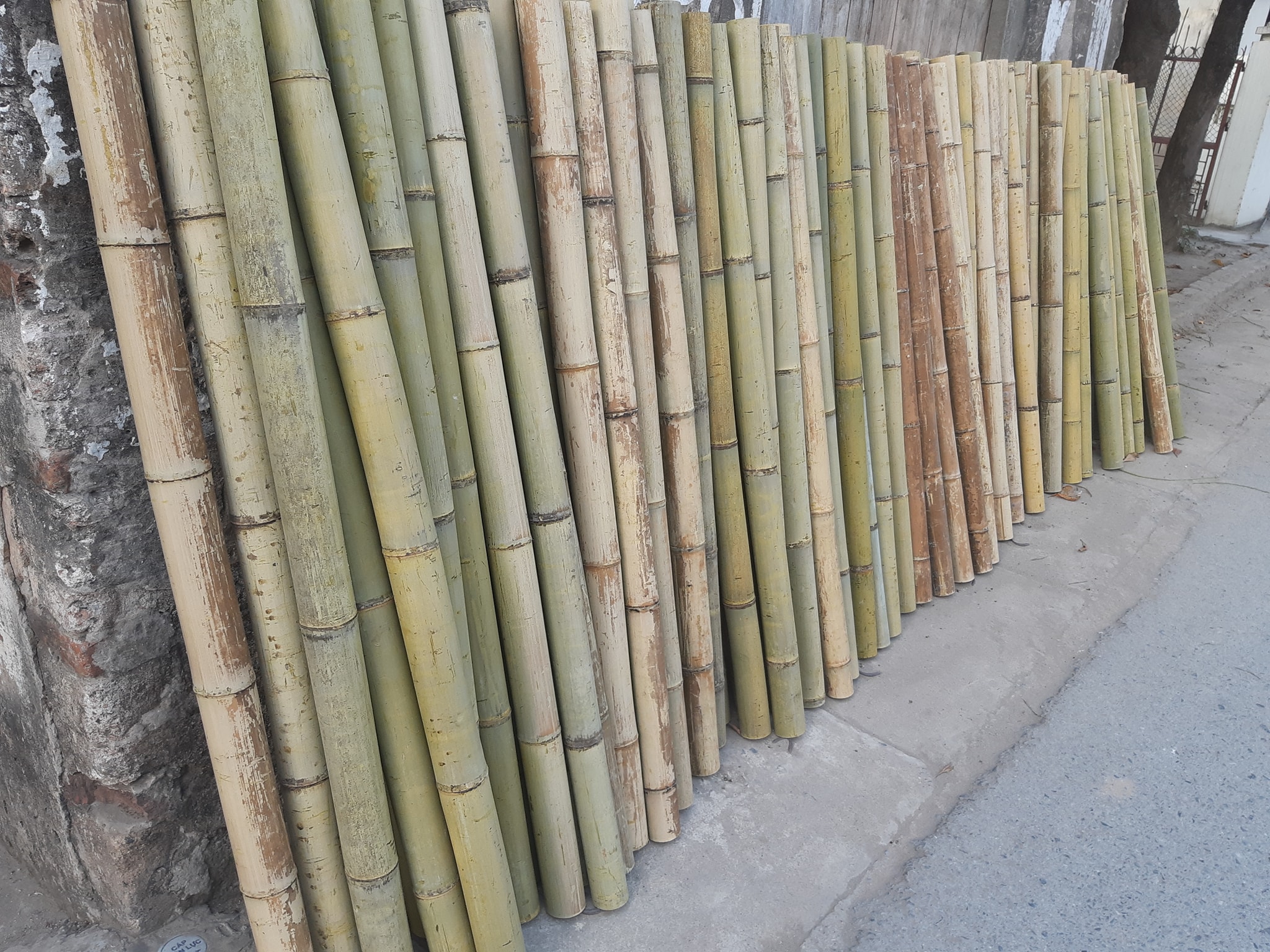 hinh-anh-tre-truc-sai-gon 2