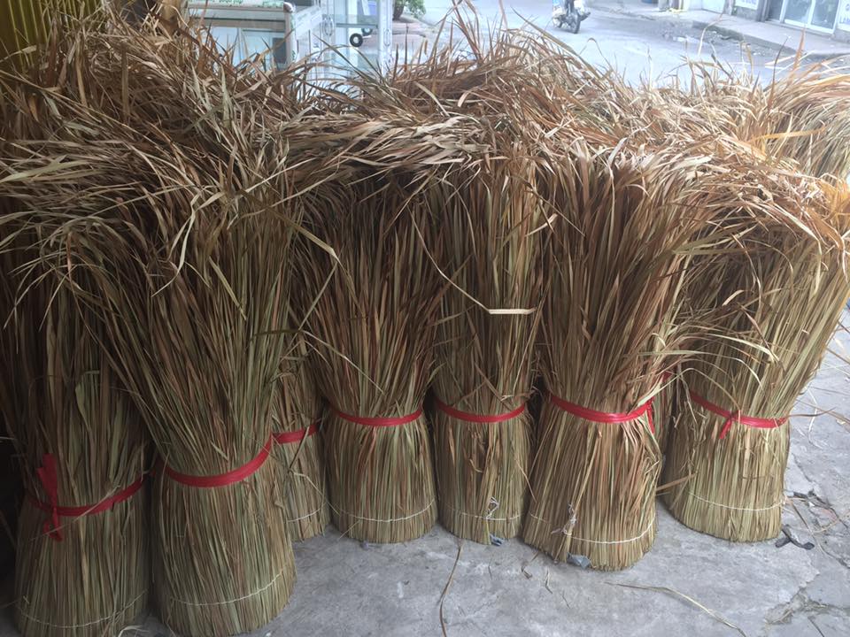 lá cỏ tranh 2