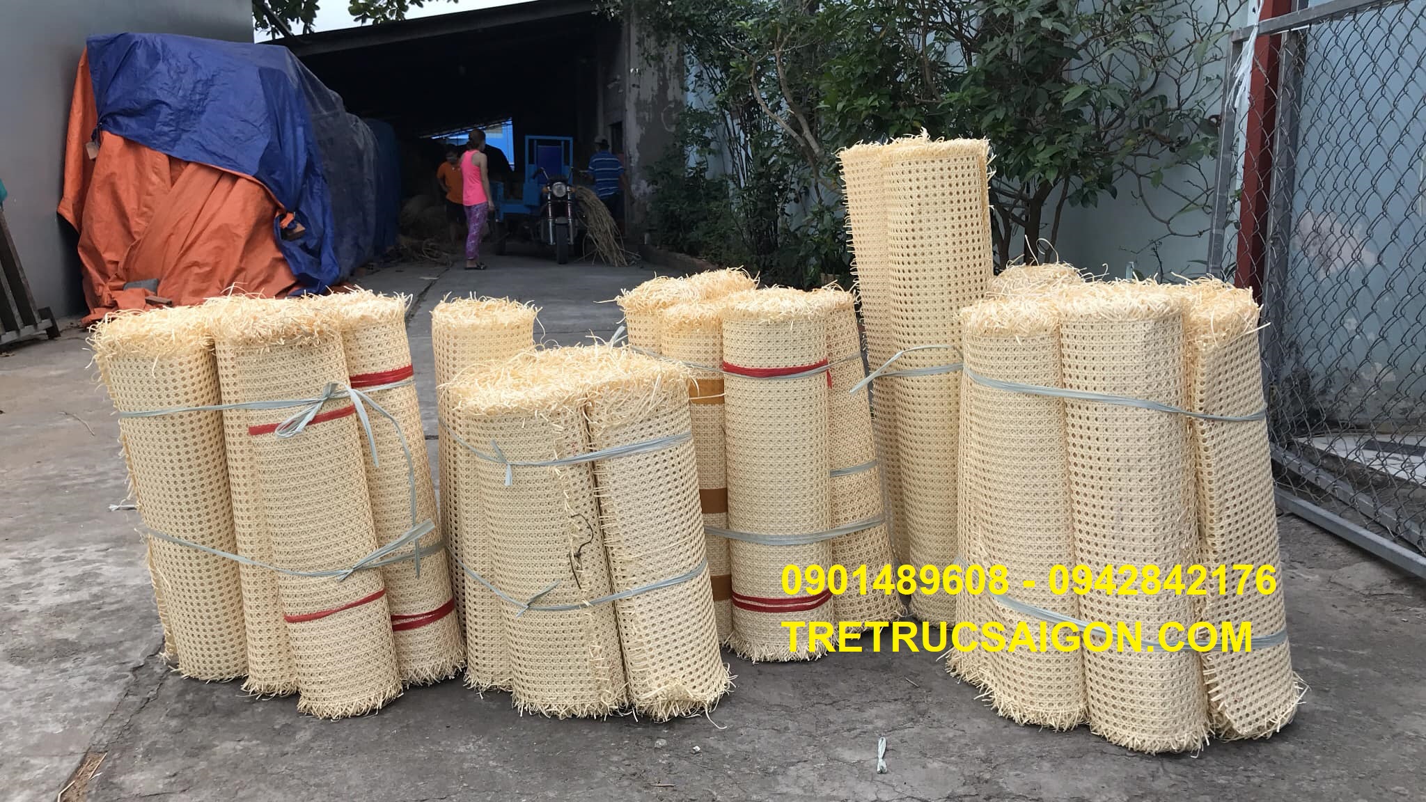 mây mắt cáo 2