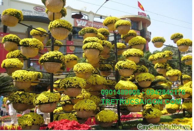 mau-trang-tri-tieu-canh-tet 1