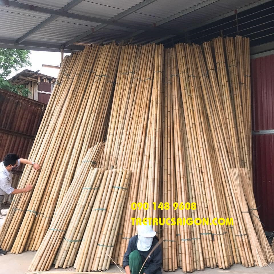 mua tre lam hàng rào 