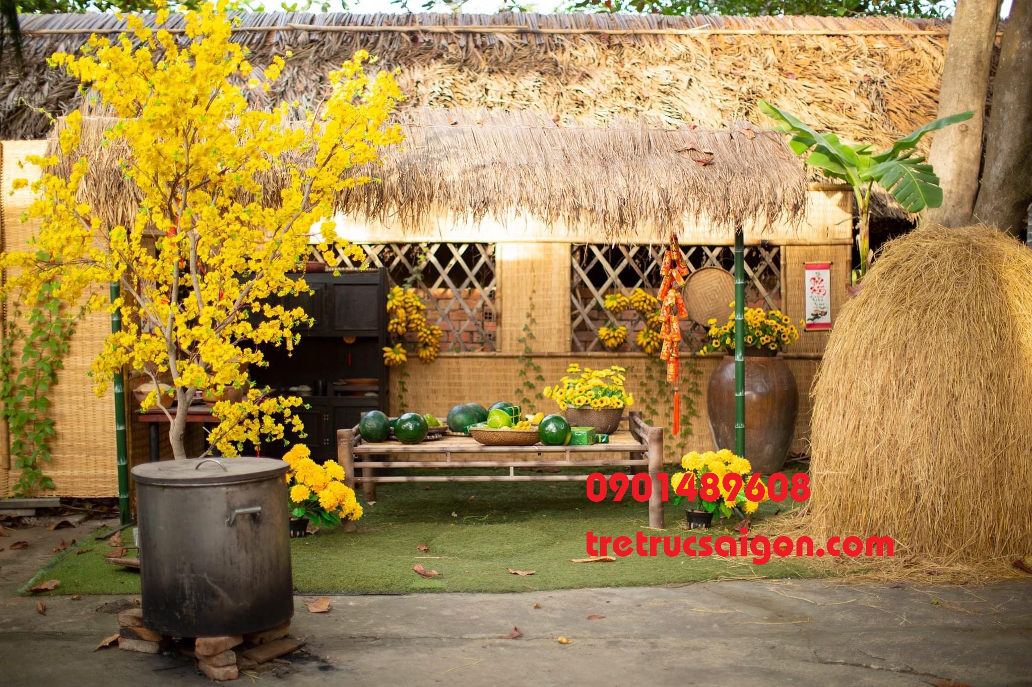 thi công tiểu cảnh tết