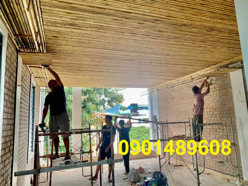 thi công tre quận 8