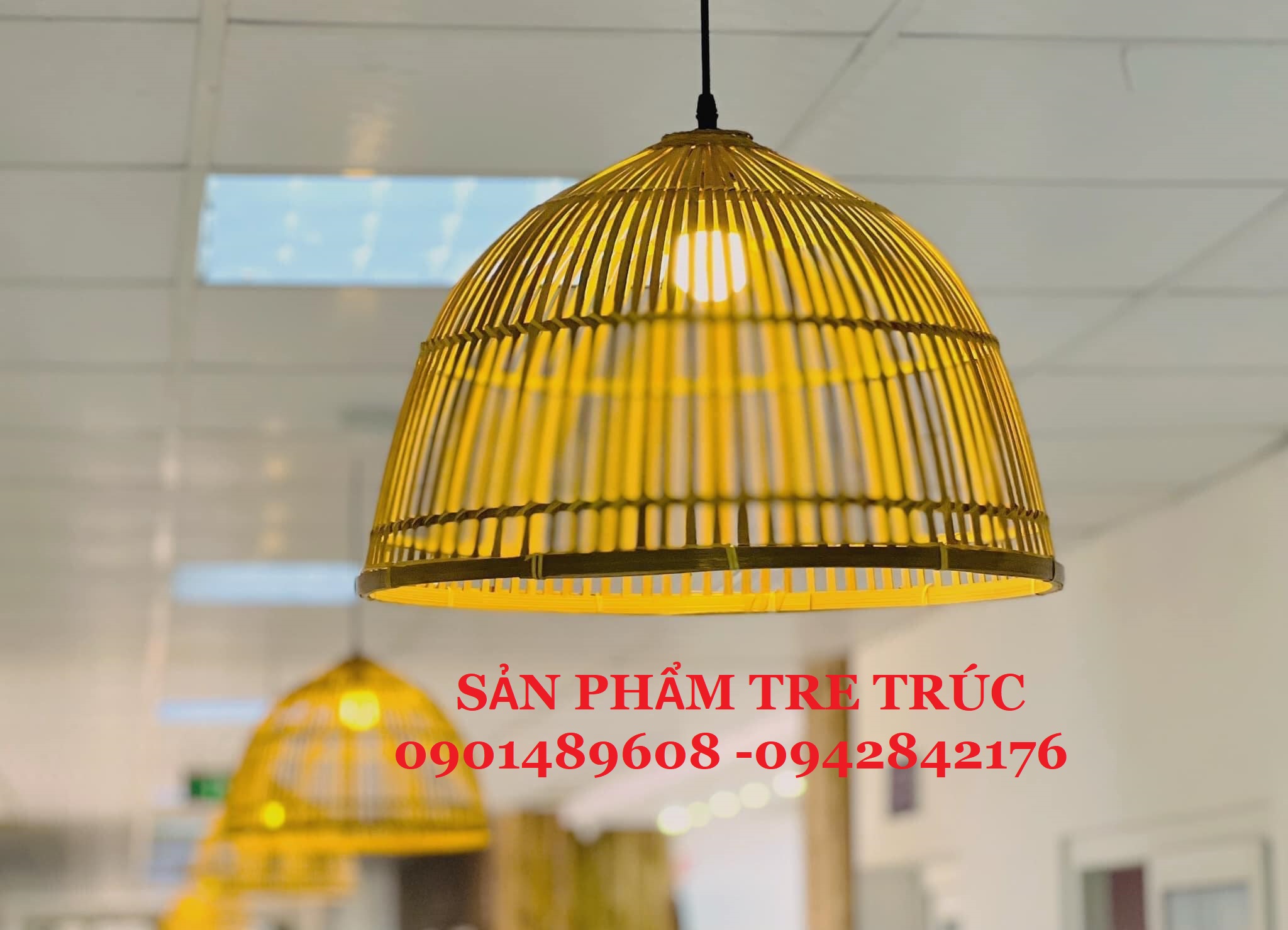 tre trúc