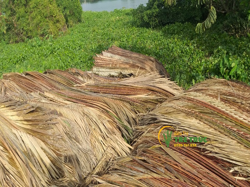 vua-la-dua-nuoc