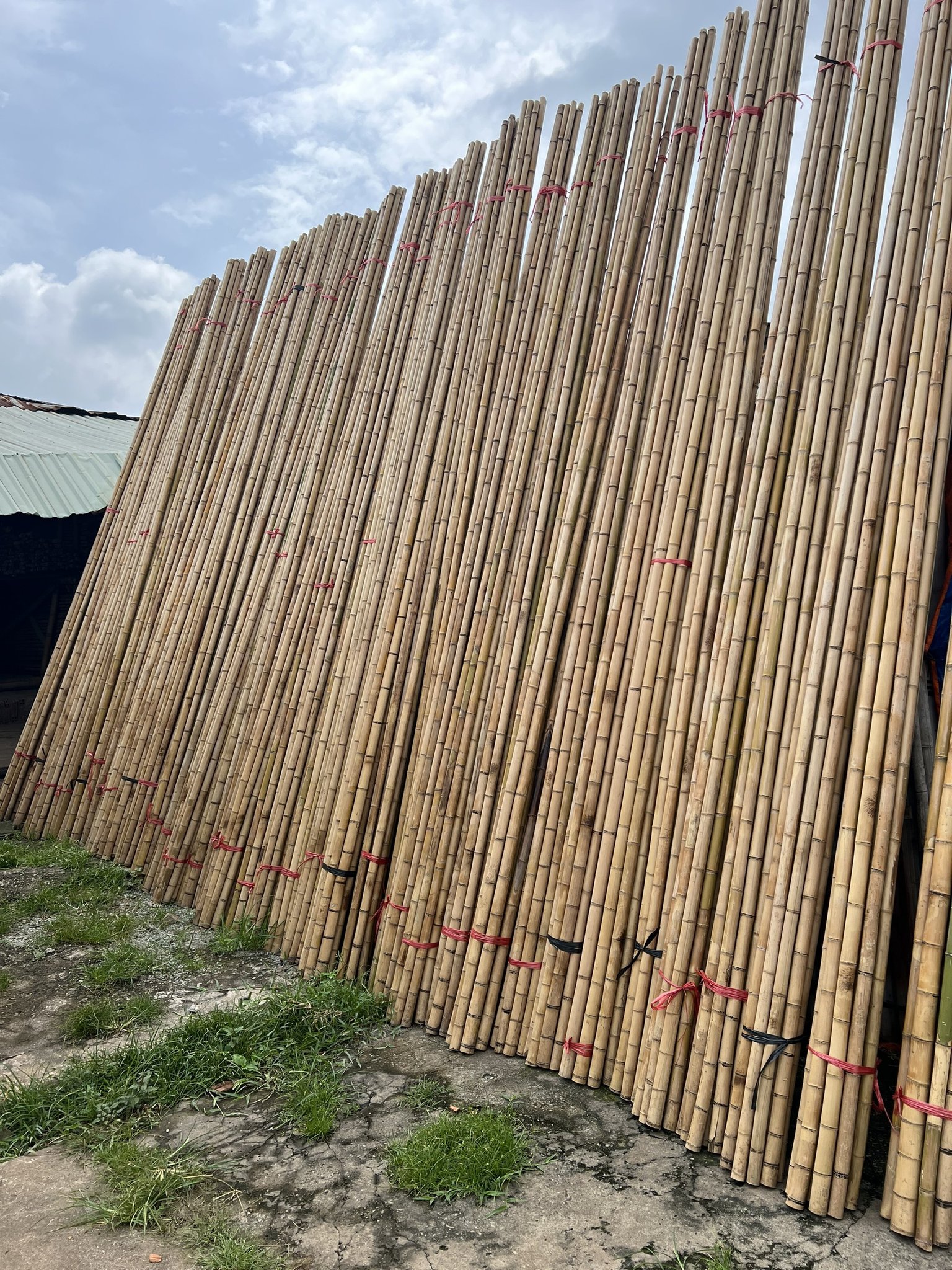 xưởng tre làm hàng rào 2