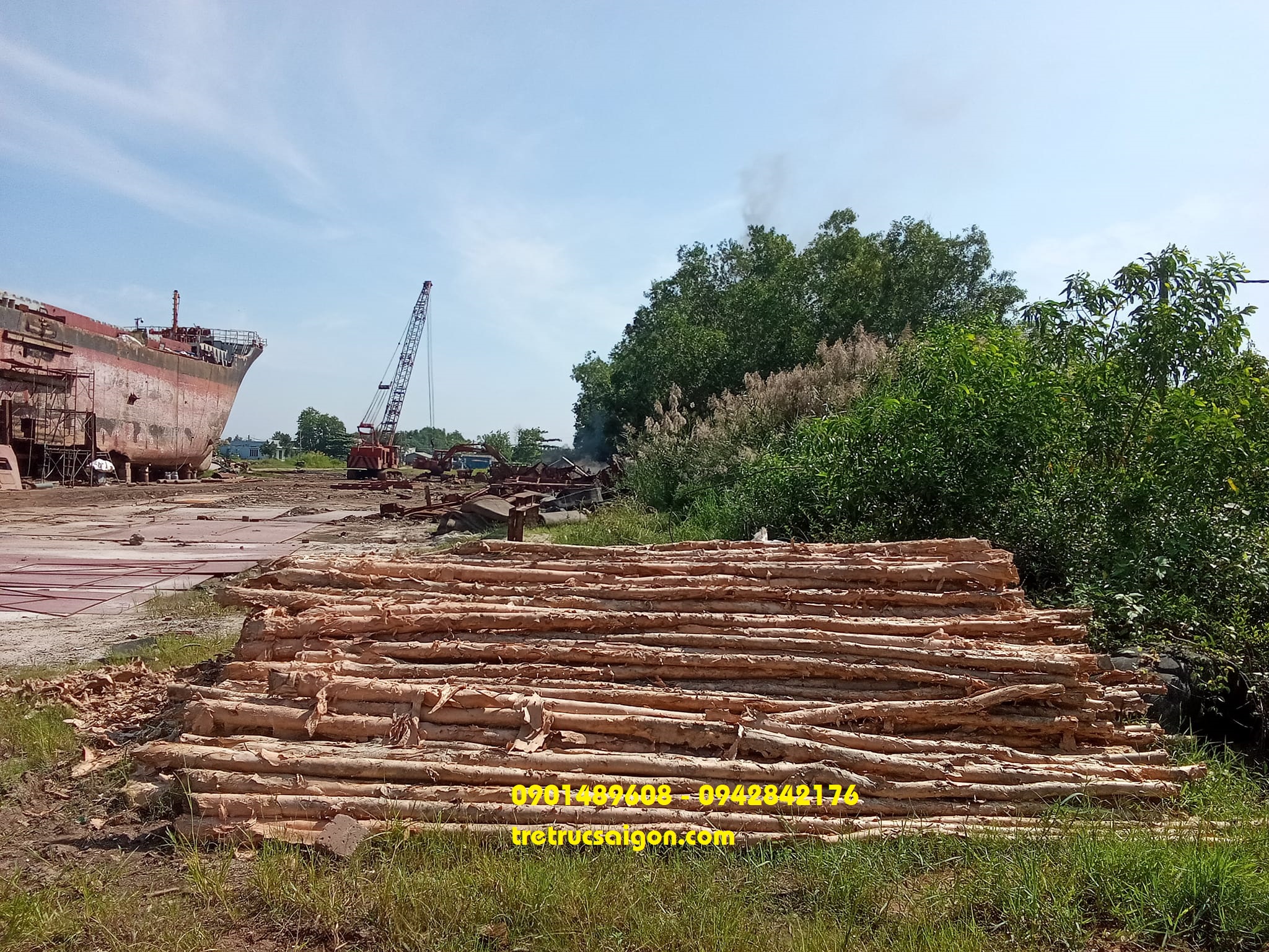 cừ tràm tphcm