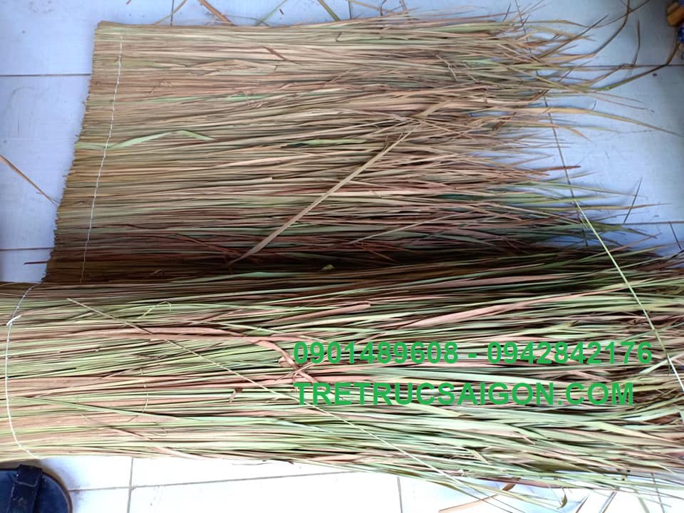 La-co-tranh-lop-nha