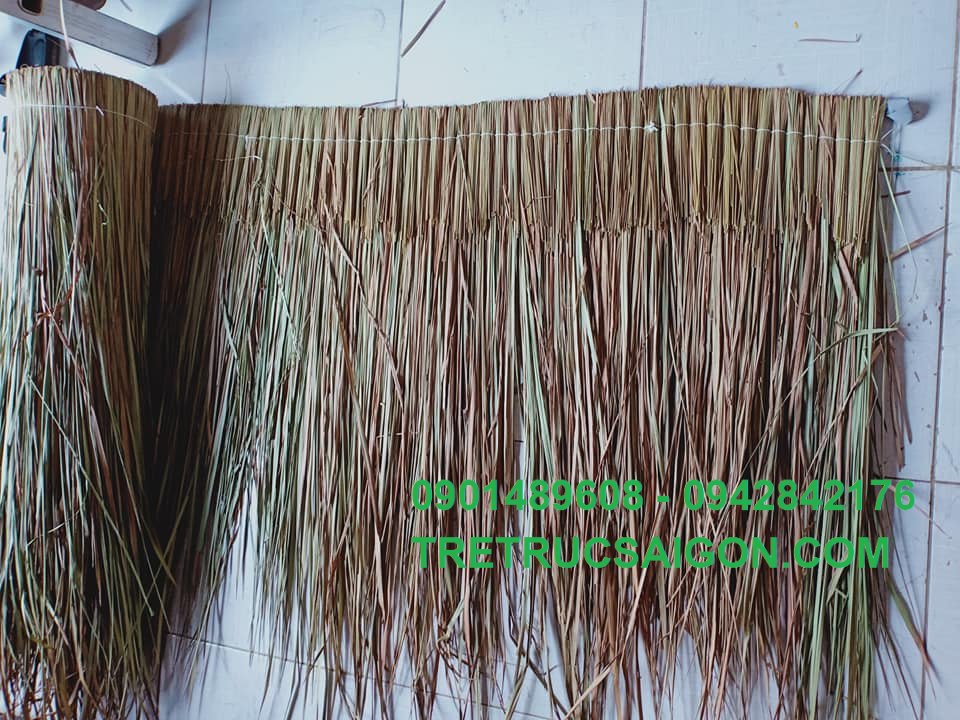 La-co-tranh-lop-nha