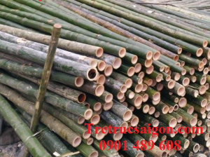 nguyên liệu tre gai