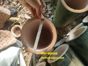 Ống tre tươi nướng gà 