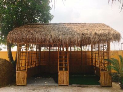 lá tranh lợp mái