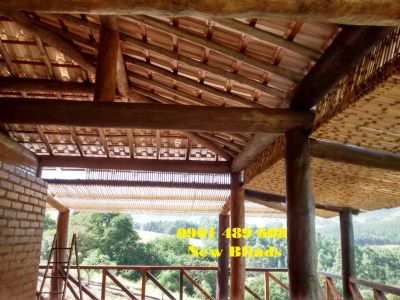 kiến trúc tre 