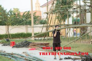 cung cấp tre làm hang đá Noël 2021