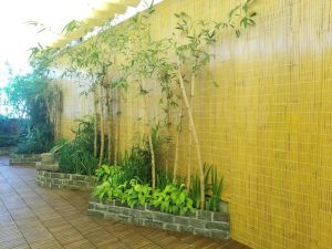 ốp tường mành tre