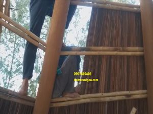 lợp lá dừa