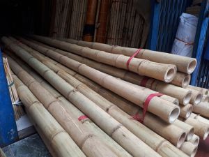 ĐỊA CHỈ BÁN CÂY TRE TO LÀM CỘT TẠI TPHCM