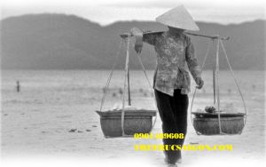 bộ đòn gánh tre